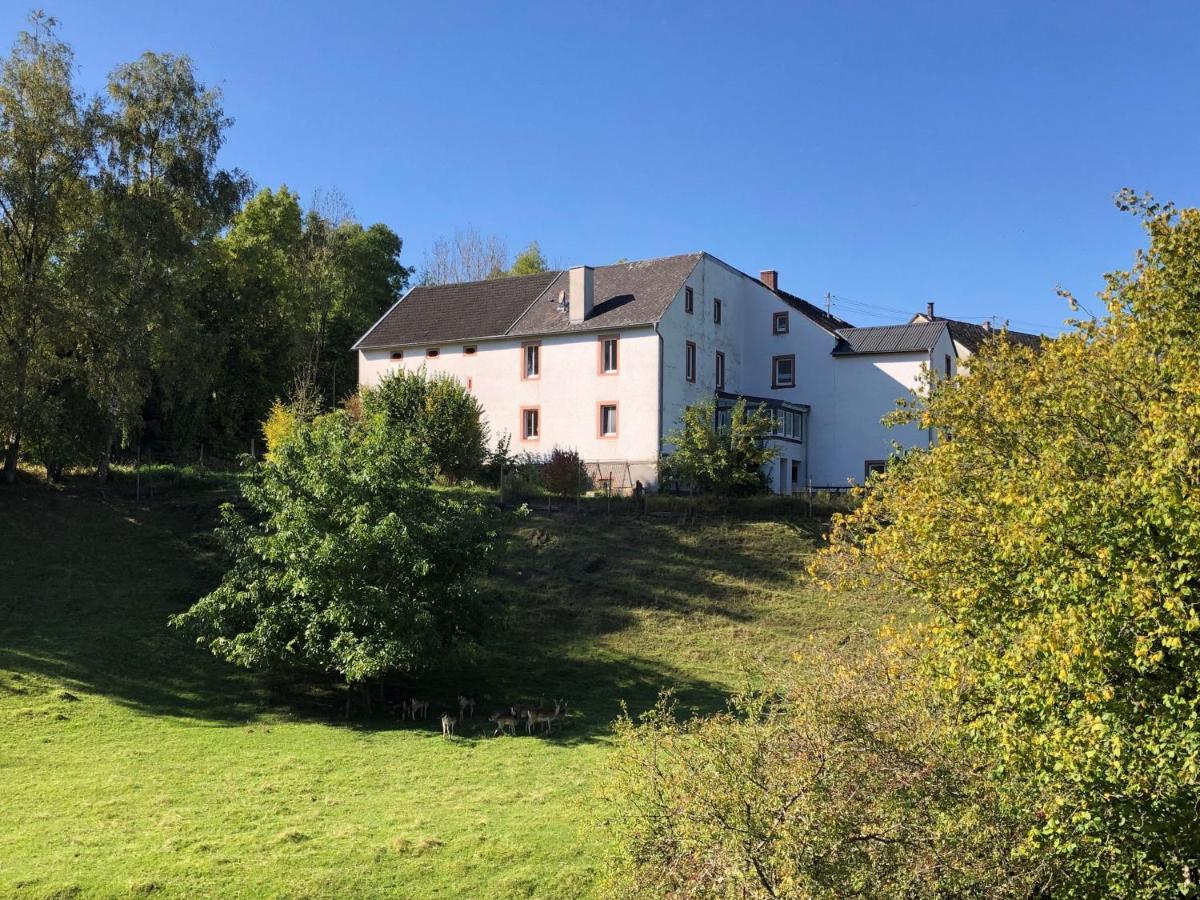 Ferienhaus Rehblick Rockeskyll Exterior photo